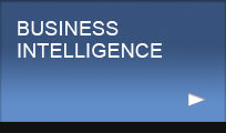 WorldManuals SupportWare, Content modules, application modules, device support tool, business intelligence, support channels